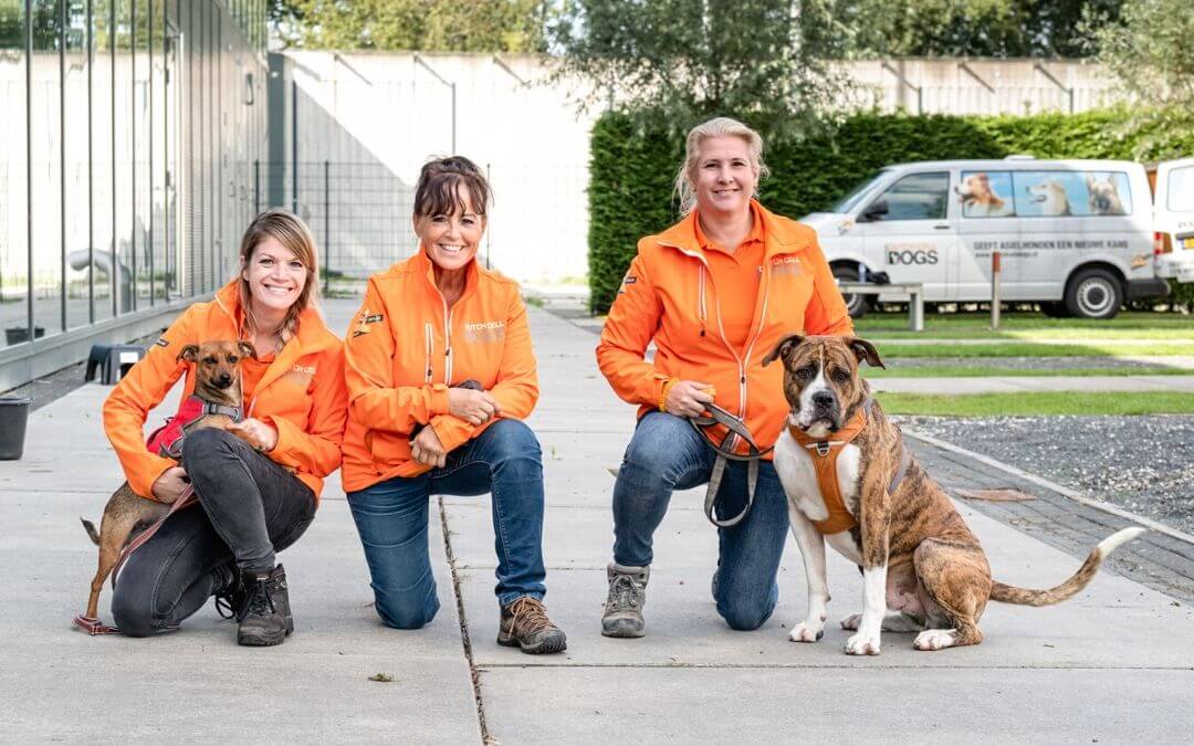 dutch cell dogs kom in actie 2